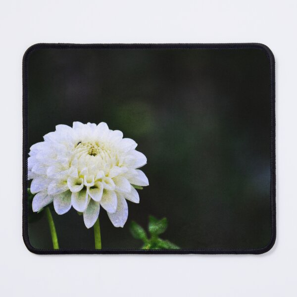 Item preview, Gone Before You Know It designed and sold by Denise Abé.