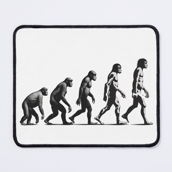 Item preview, evolution of apes designed and sold by Ladidia.