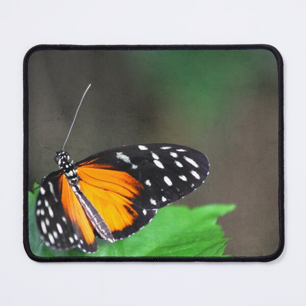 Item preview, Some Time Away designed and sold by Denise Abé.