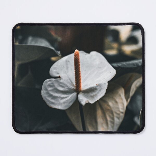 Item preview, Beauty in the Common designed and sold by akiobsession.