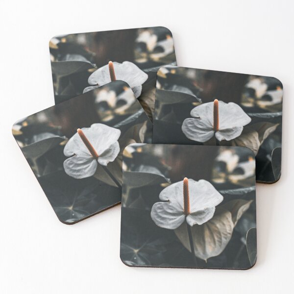 Item preview, Beauty in the Common designed and sold by akiobsession.