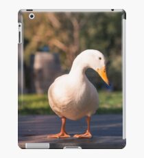 Vinilo o funda para iPad Drake el Drake