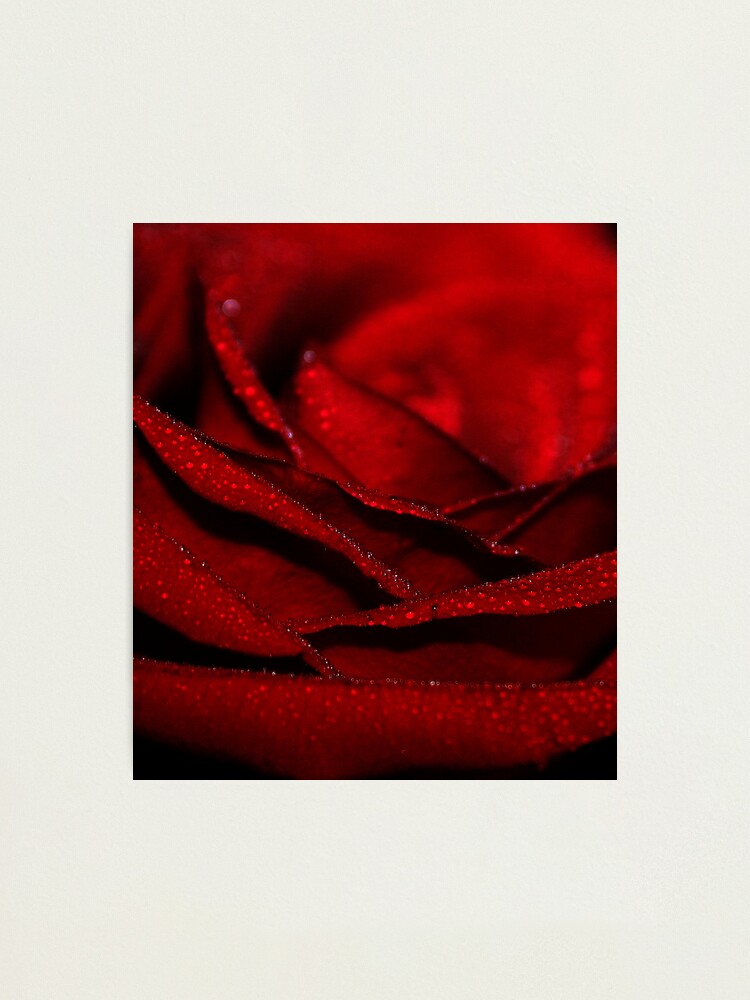 Alternate view of Precious Moments Photographic Print