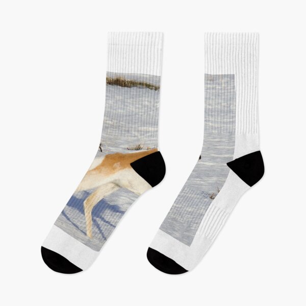 Item preview, Young Pronghorn Buck Walking In The Snow designed and sold by FreelanceJim.