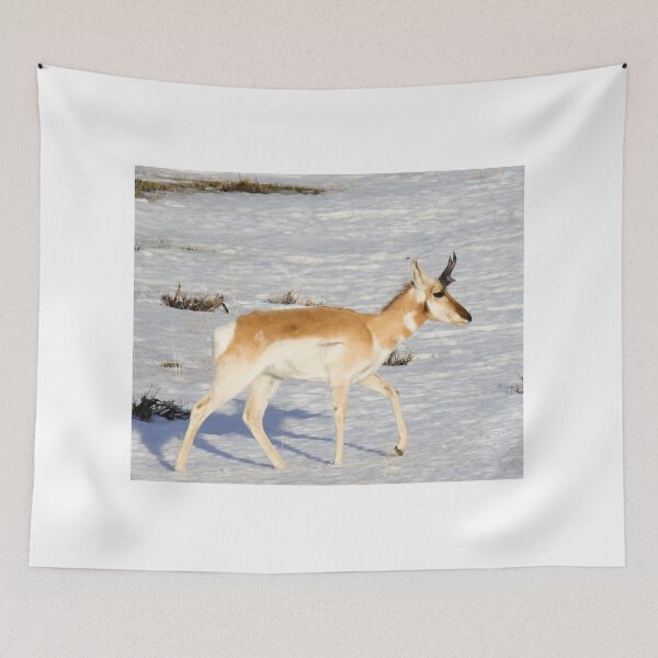 Item preview, Young Pronghorn Buck Walking In The Snow designed and sold by FreelanceJim.