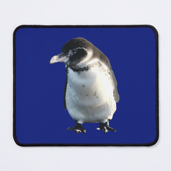 Item preview, Cute Galapagos Penguin checks you out (Blue #0F1D7B background)  designed and sold by SBPenguins.