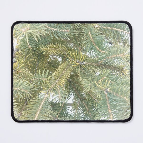 Item preview, Beautiful Spruce Tree in Ottawa Winter 2023 designed and sold by Health And Fitness Posts e-Store.