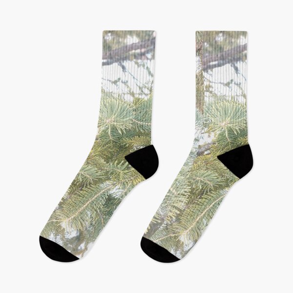 Item preview, Beautiful Spruce Tree in Ottawa Winter 2023 designed and sold by Health And Fitness Posts e-Store.