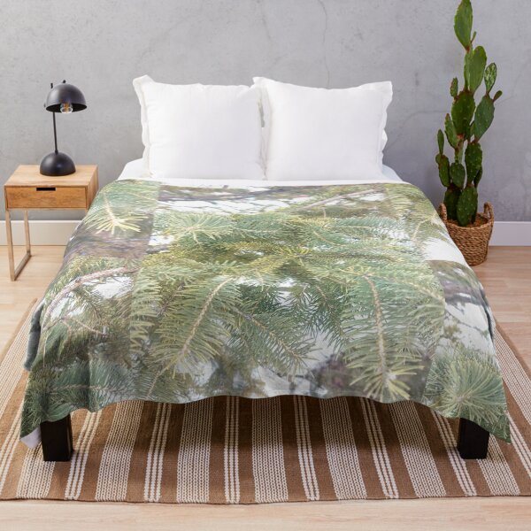 Item preview, Beautiful Spruce Tree in Ottawa Winter 2023 designed and sold by Health And Fitness Posts e-Store.