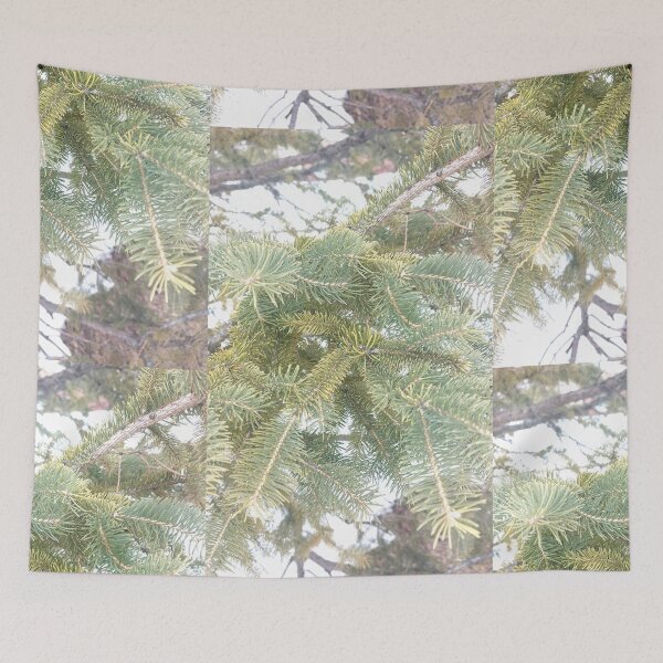 Item preview, Beautiful Spruce Tree in Ottawa Winter 2023 designed and sold by Health And Fitness Posts e-Store.