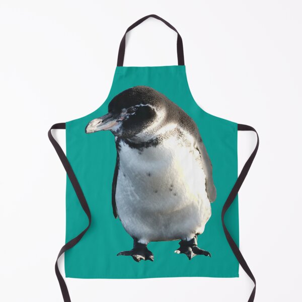 Artikelvorschau, Cute Galapagos Penguin checks you out (Teal #03A09 background) entworfen und verkauft von SBPenguins.