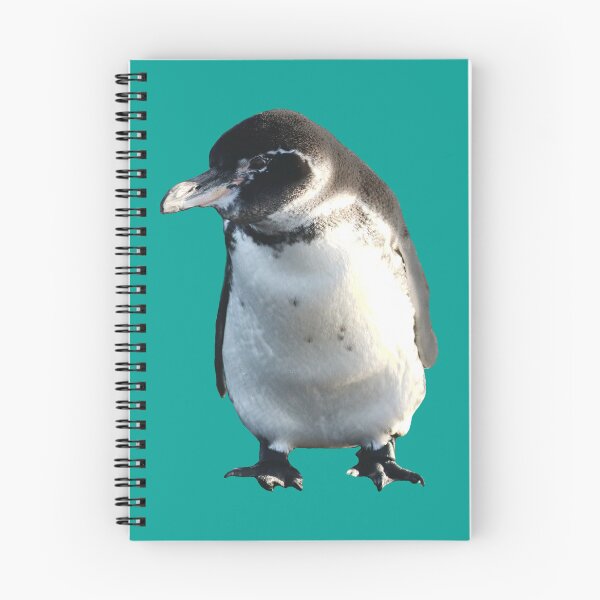 Artikelvorschau, Cute Galapagos Penguin checks you out (Teal #03A09 background) entworfen und verkauft von SBPenguins.