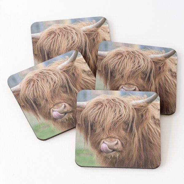 Item preview, Scottish highland photography : Highland coo designed and sold by Justeecat.