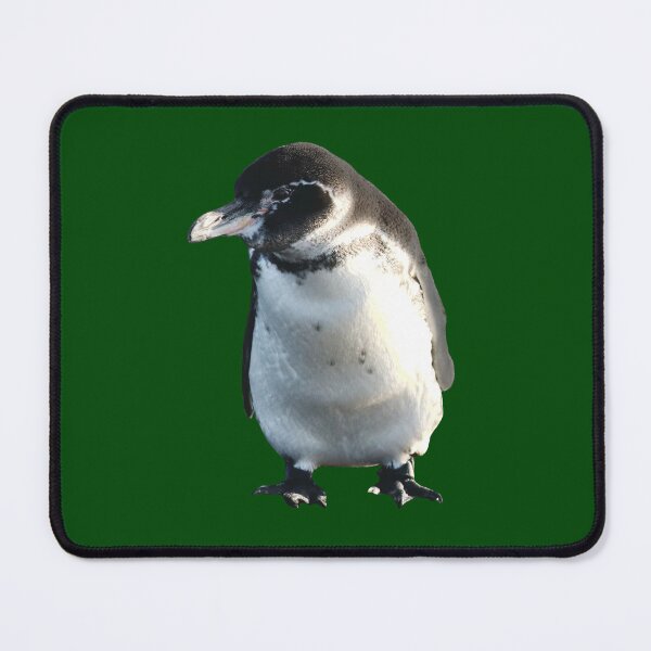 Artikelvorschau, Cute Galapagos Penguin checks you out (Dark Green #014606 background) entworfen und verkauft von SBPenguins.