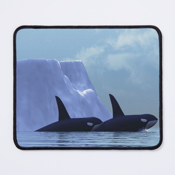 Item preview, Orca and the Iceberg designed and sold by Corey Ford.