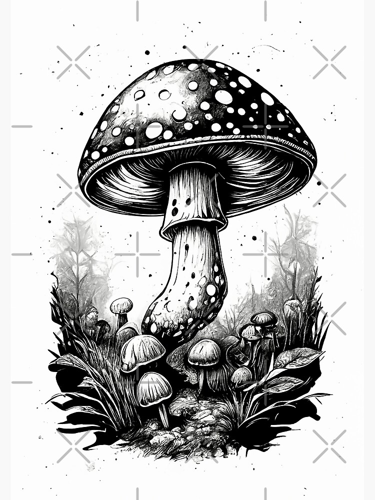 Dessin de champignon minimaliste Art de champignons champignons noir et blanc sur fond blanc Poster