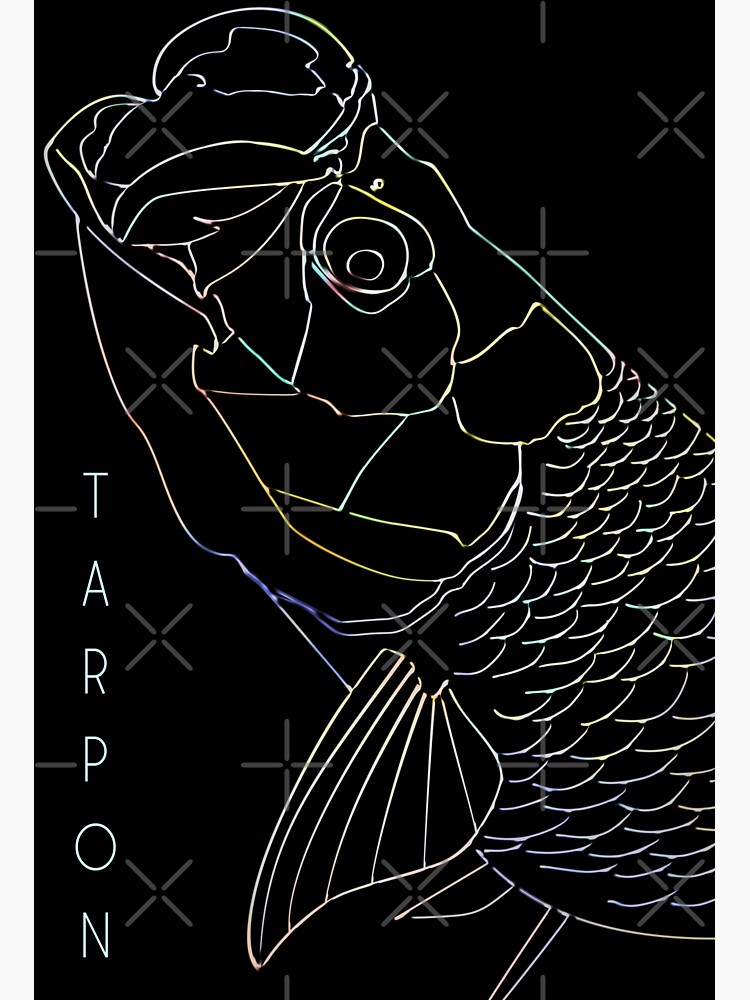Tarpon Line Drawing on a Black Background Sticker for Sale by Mary Tracy