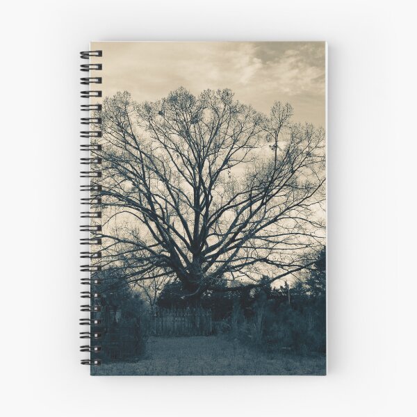 Item preview, Black and White Graveyard designed and sold by Craig Kauzmann.