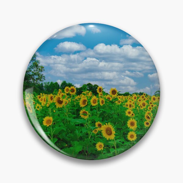 Item preview, Sunflower Field designed and sold by Craig Kauzmann.