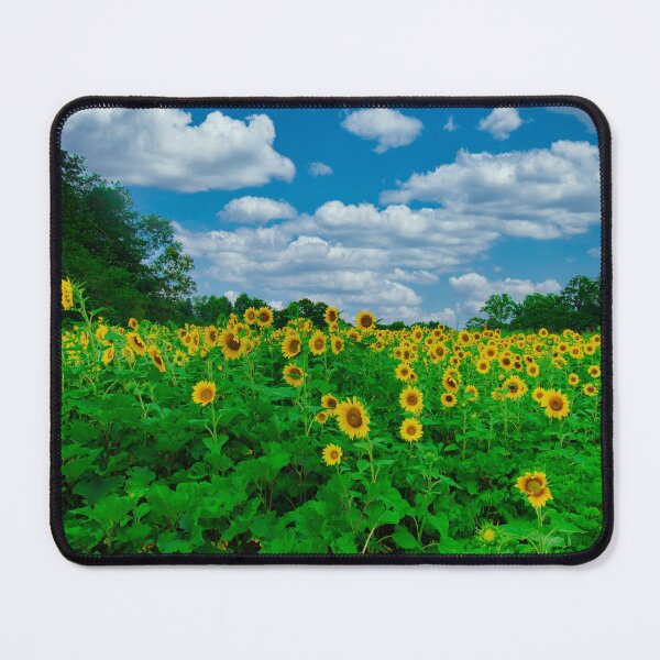 Item preview, Sunflower Field designed and sold by Craig Kauzmann.