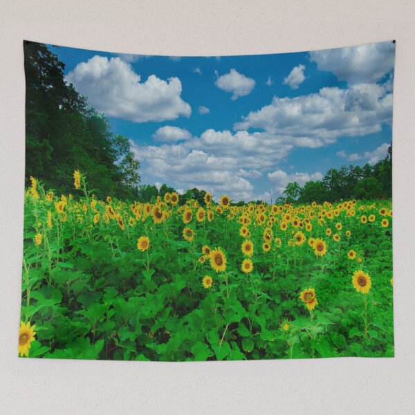 Item preview, Sunflower Field designed and sold by Craig Kauzmann.