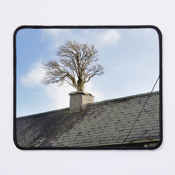 Item preview, Nature reclaims designed and sold by AnthonyThomas.
