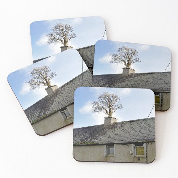 Item preview, Nature reclaims designed and sold by AnthonyThomas.