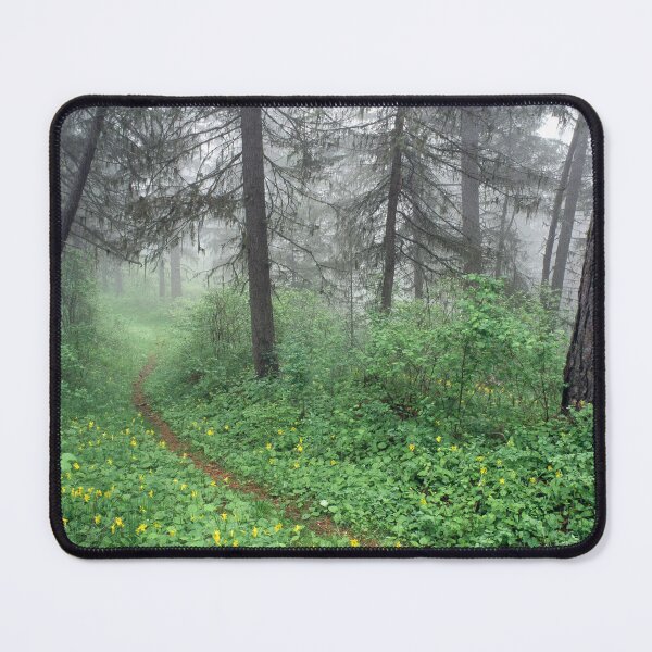 Item preview, A Path of Your Own designed and sold by Alison Meyer Photography.