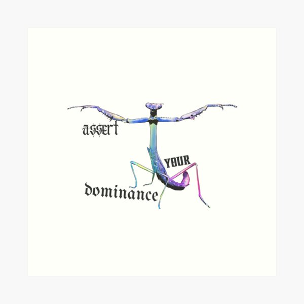 Item preview, T-pose: Assert Your Dominance | Praying Mantis Meme designed and sold by techno-mantis.