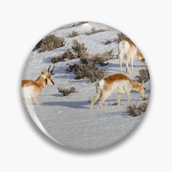 Item preview, Pronghorn Knee Deep In Snow designed and sold by FreelanceJim.