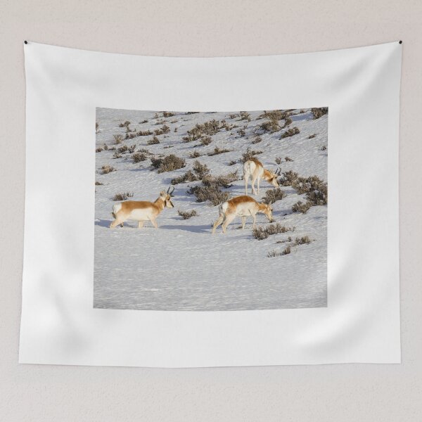 Item preview, Pronghorn Knee Deep In Snow designed and sold by FreelanceJim.
