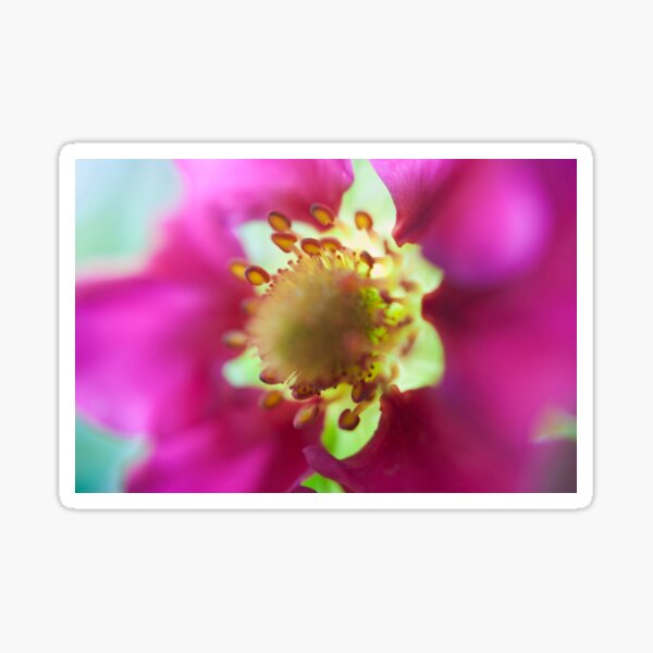Strawberry Flower Sticker