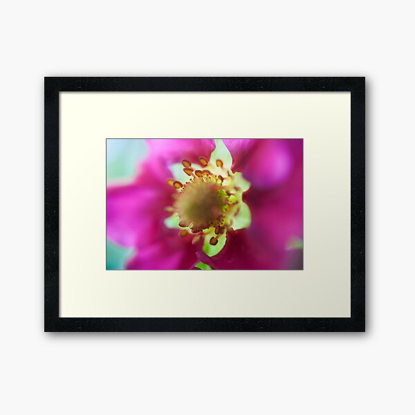 Strawberry Flower Framed Art Print