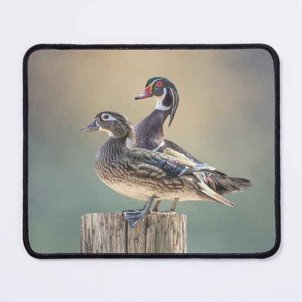 Item preview, Pair of Wood Ducks 01 designed and sold by Elisabeth Lucas.