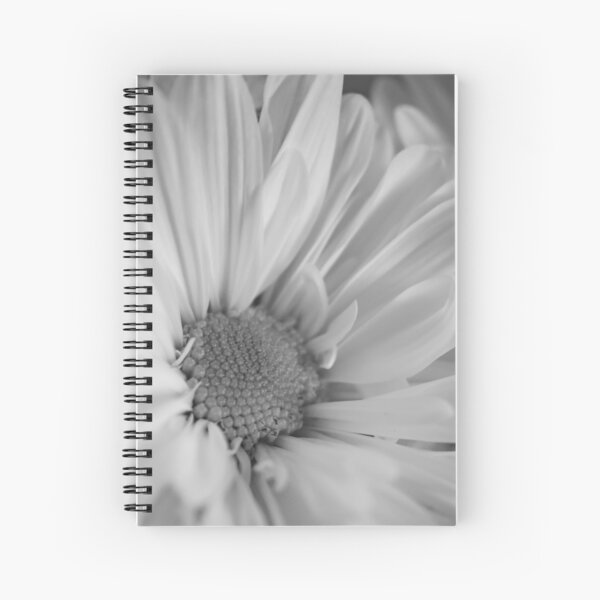 Black & White Daisies Spiral Notebook