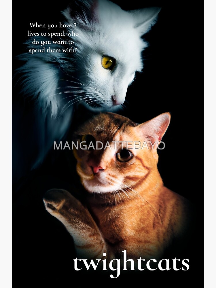 Warrior cats movie poster