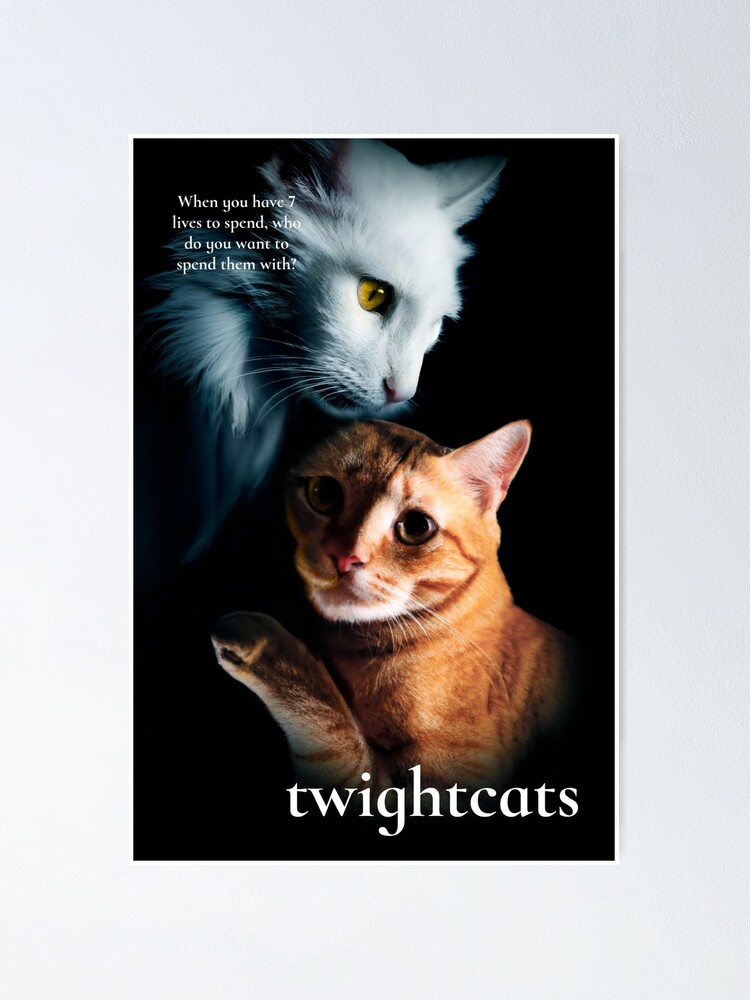 Warrior Cat Movie Poster