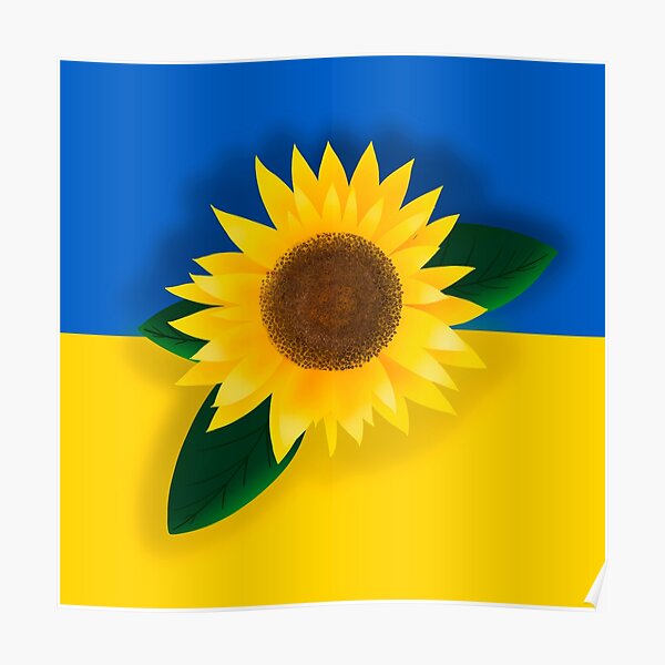 War in Ukraine Fundraiser | Ukraine Flag and National Flower Poster