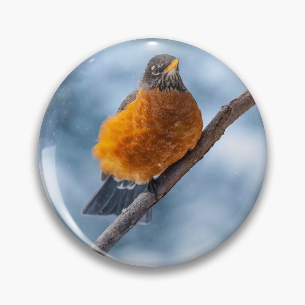 Item preview, American Robin Perched During a Snowstorm designed and sold by Jeff Goulden Photography.