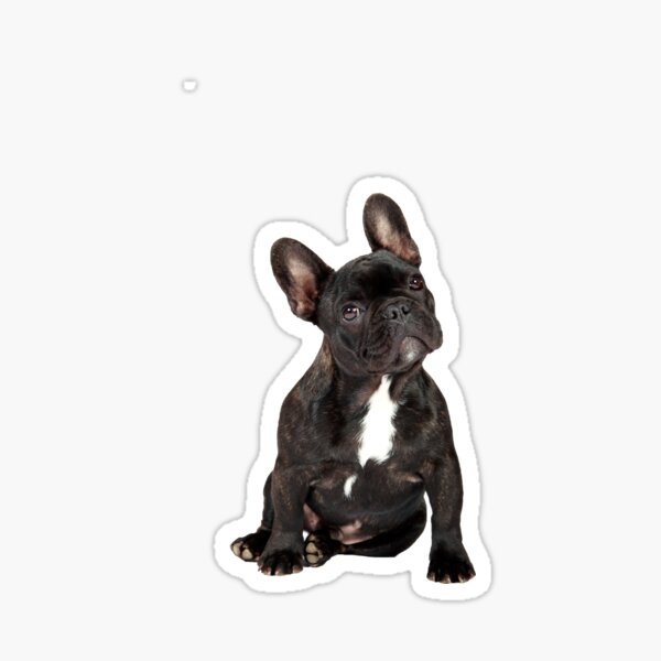 Item preview, French Bulldog designed and sold by mlorenz.