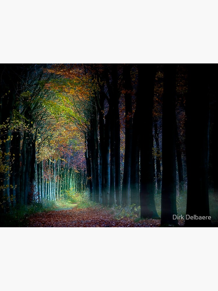 Trees by Delbaere