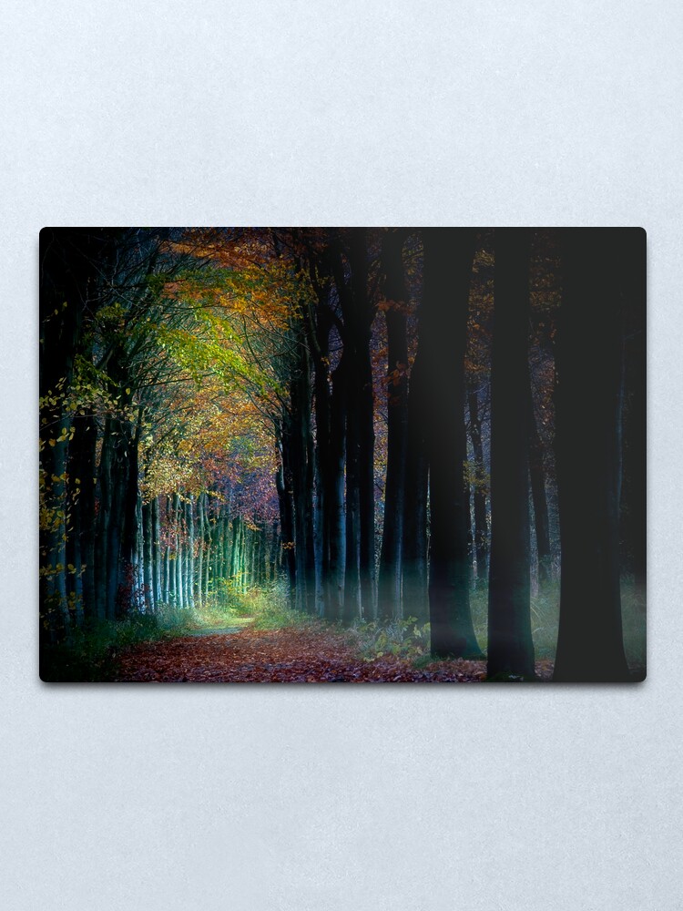 Alternate view of Trees Metal Print