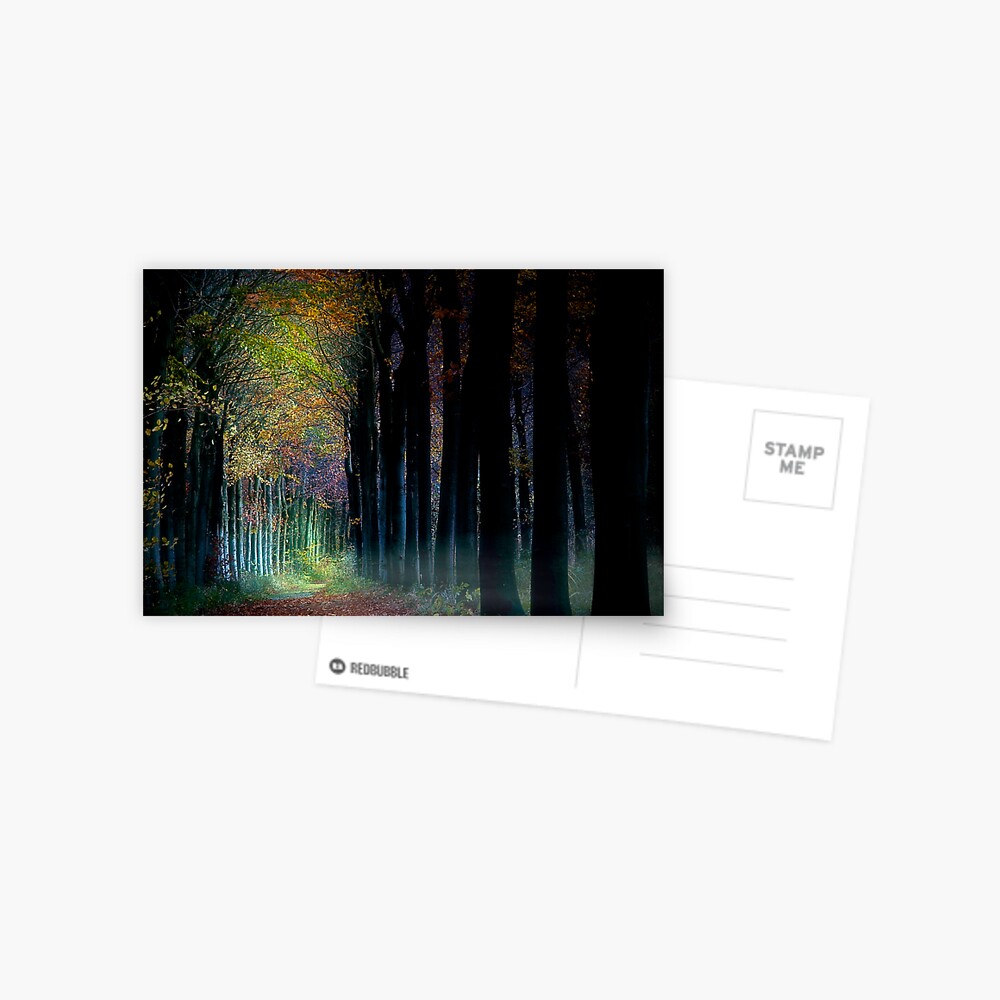 Trees Postcard