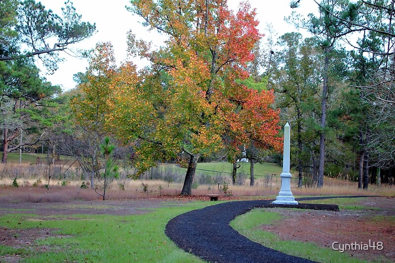 "Battlefield History Trail" By Cynthia48 | Redbubble