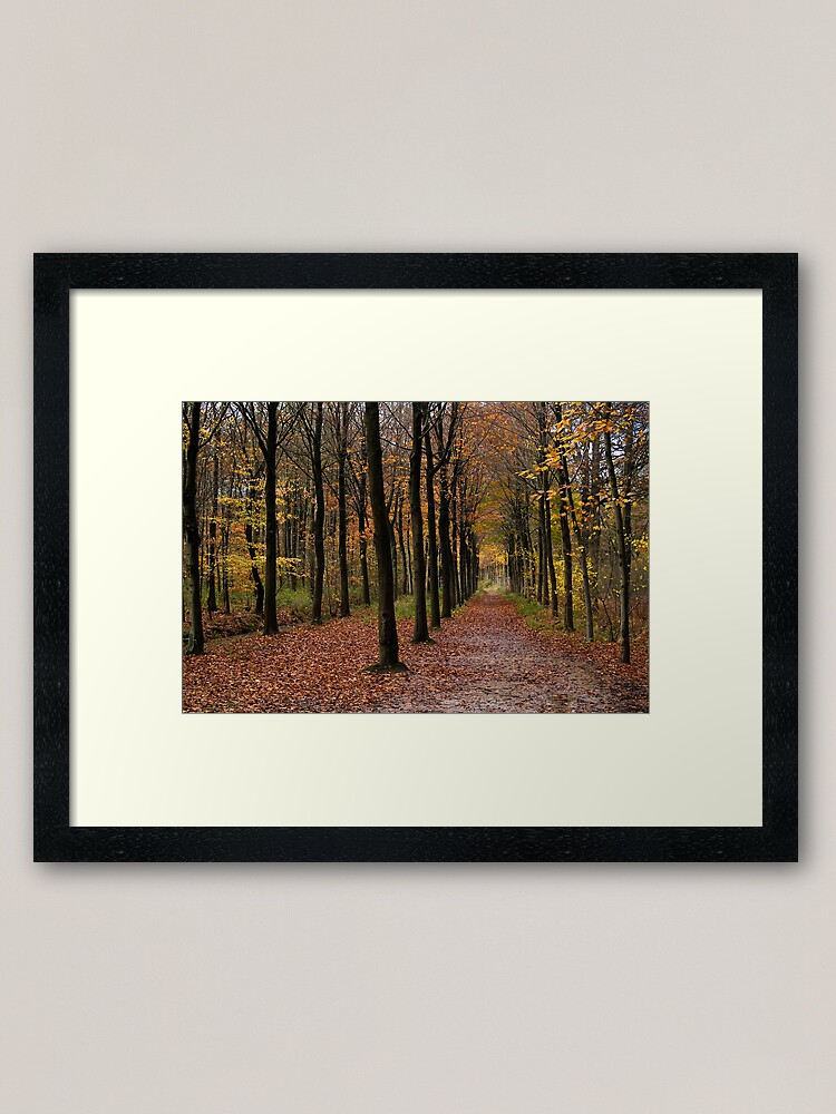 Alternate view of Rows Framed Art Print