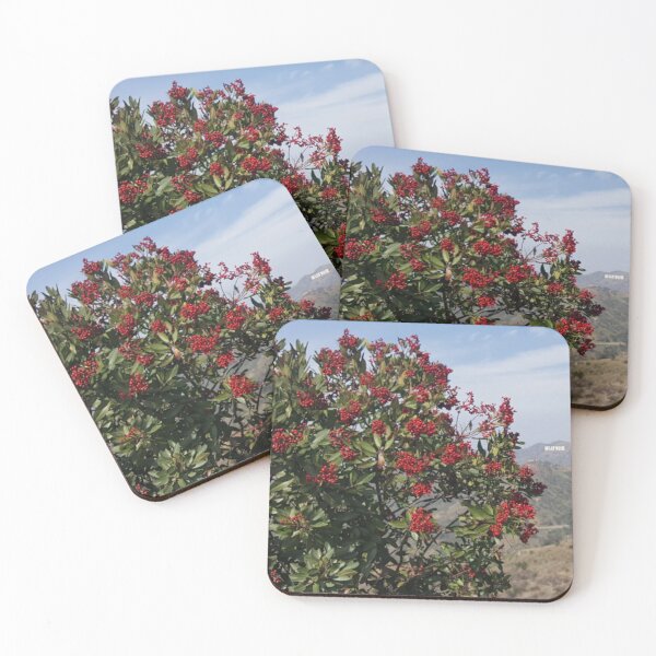 Item preview, Hollywood Sign designed and sold by TreasleC.