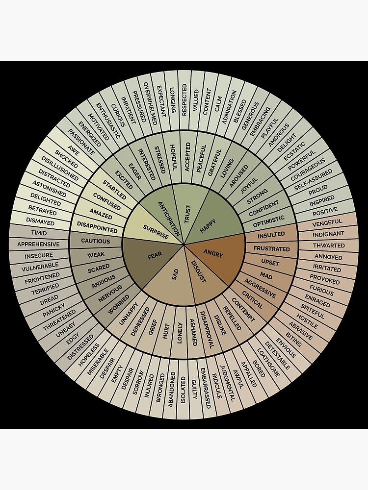 Wheel Of Emotions Feelings Wheel Understanding Emotions Circular ...