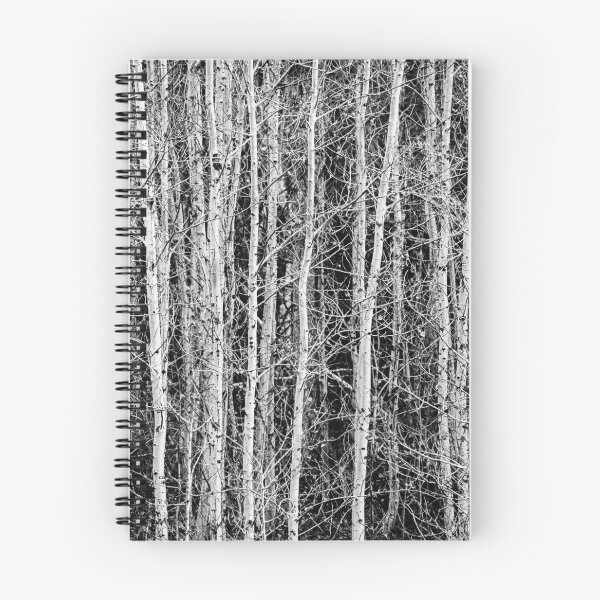 Item preview, Bare Trees of November designed and sold by Randall Talbot.