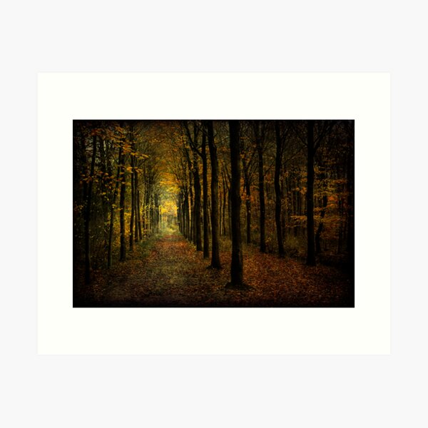 Woodland, light Art Print