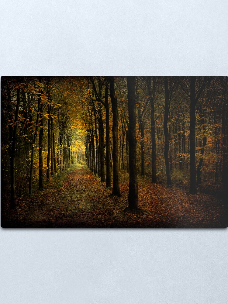 Alternate view of Woodland, light Metal Print